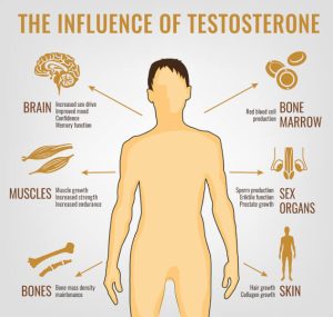 low testosterone