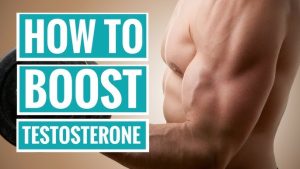 Testosterone