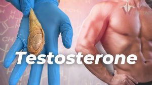 Testosterone