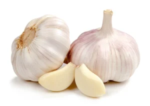 Garlic